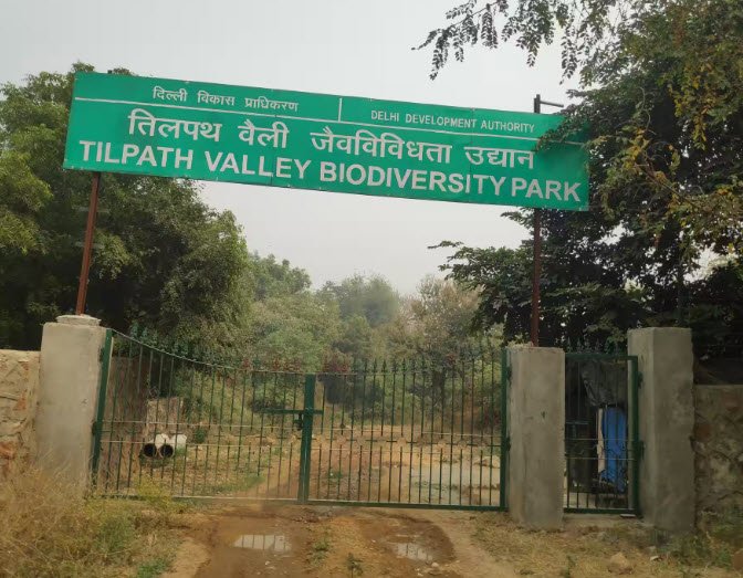 Tilpath Valley Biodiversity Park